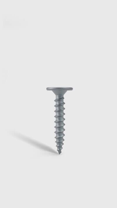 Low Pro Wafer screw
